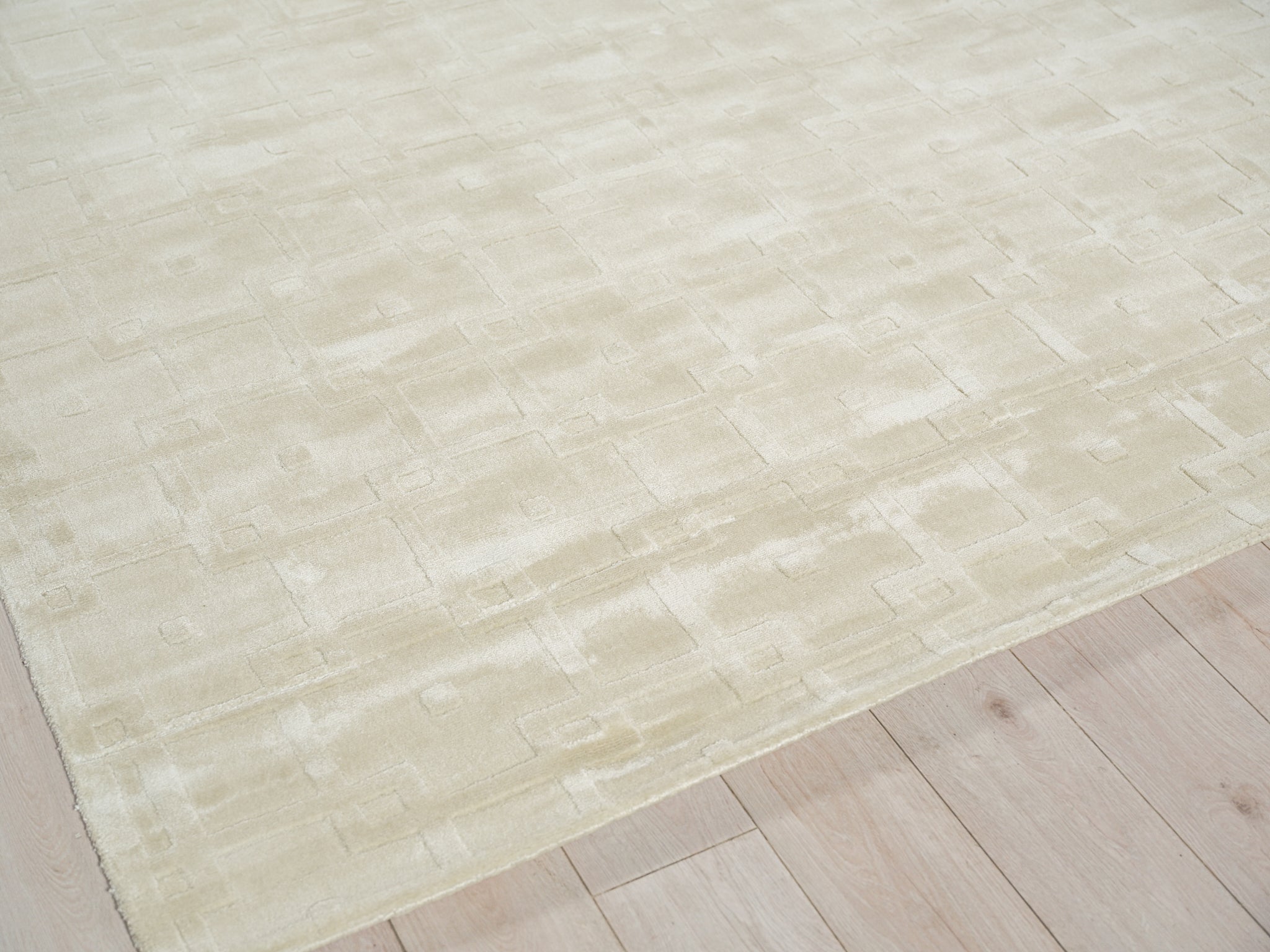 Camora Modern Beige Silky Nylon handloomed Area Rug